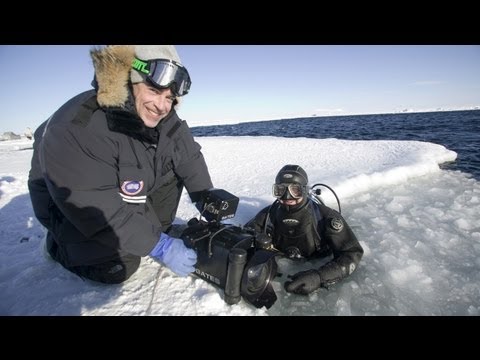 afbeelding THE MAKING OF PLANET EARTH - Exclusive Sneak Peek at World Premiere Special