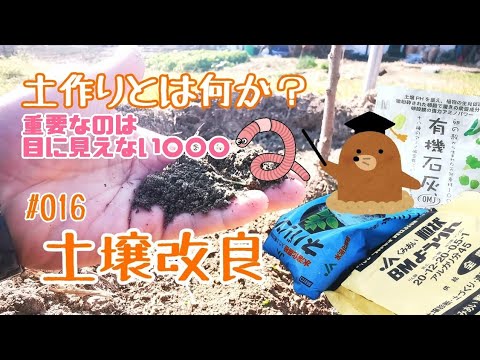 果樹に最適なマルチは何ですか?土壌に栄養を与え、豊かな収穫をもたらすための6つの最良のオプションは次のとおりです  庭園