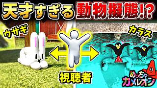 【めっちゃカメレオン】視聴者の動物縛り擬態が天才すぎた...