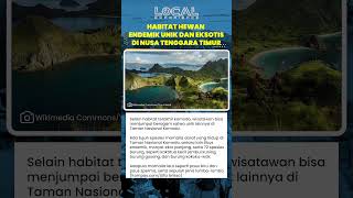 Taman Nasional Komodo Dihuni Mamalia Darat, 72 Jenis Burung, Paus Biru, Lumba lumba, hingga Dugong