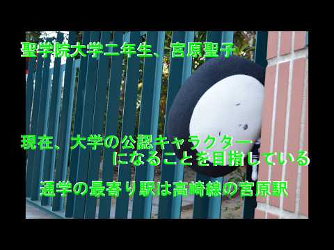 政治経済学科 教えて、聖子ちゃん！！│大学(非)公認キャラクターによる大学紹介【学生制作ムービー】