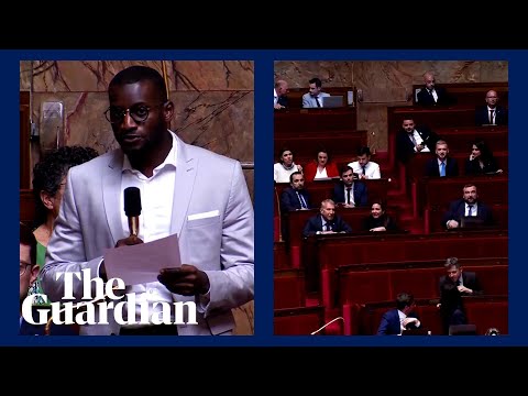 Moment a French lawmaker shouts 'Go back to Africa' during fellow MP's speech