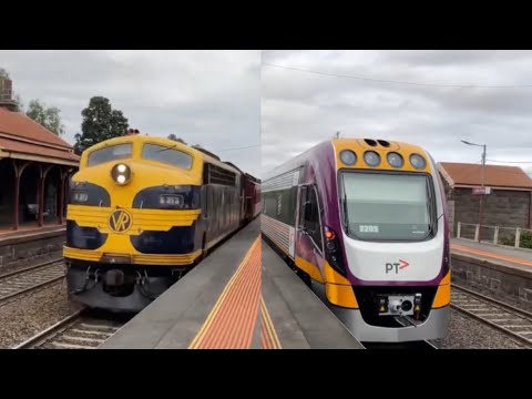 V/Line Trains at Little River (ft. S313 & T395)
