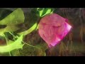 Kygo Imagine Dragons Born To Be Yours