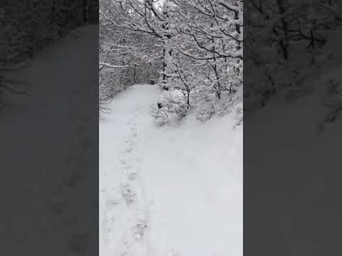 Germia - walking in snow!