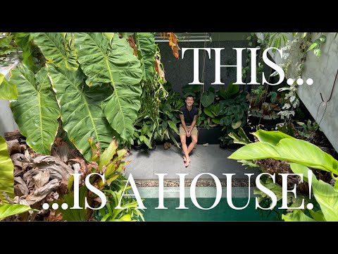 House INSIDE A Greenhouse! Live With Plants | RARE Exotic Aroids Palms and More!