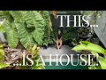 House INSIDE A Greenhouse Live With Plants RARE Exotic Aroids Palms And More