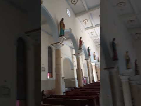 #shorts #short #shortvideo #shortsfeed #church #catholic #brasil #art #history #culture #beautiful