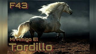 Mi Amigo El Tordillo Vicente Fernández