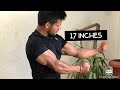 17 inches Biceps workout