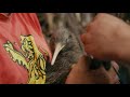 Kiwi Health Check And Surprise Egg Discovery