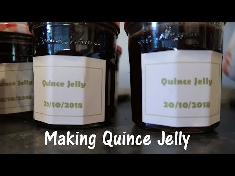 download lagu mp3 mp4 Quince And Chilli Jelly Recipes, download lagu Quince And Chilli Jelly Recipes gratis, unduh video klip Quince And Chilli Jelly Recipes