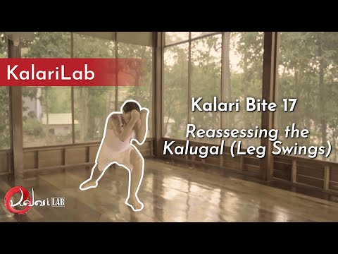 Kalari Bite 17 - Reassessing the Kalugal (leg swings)