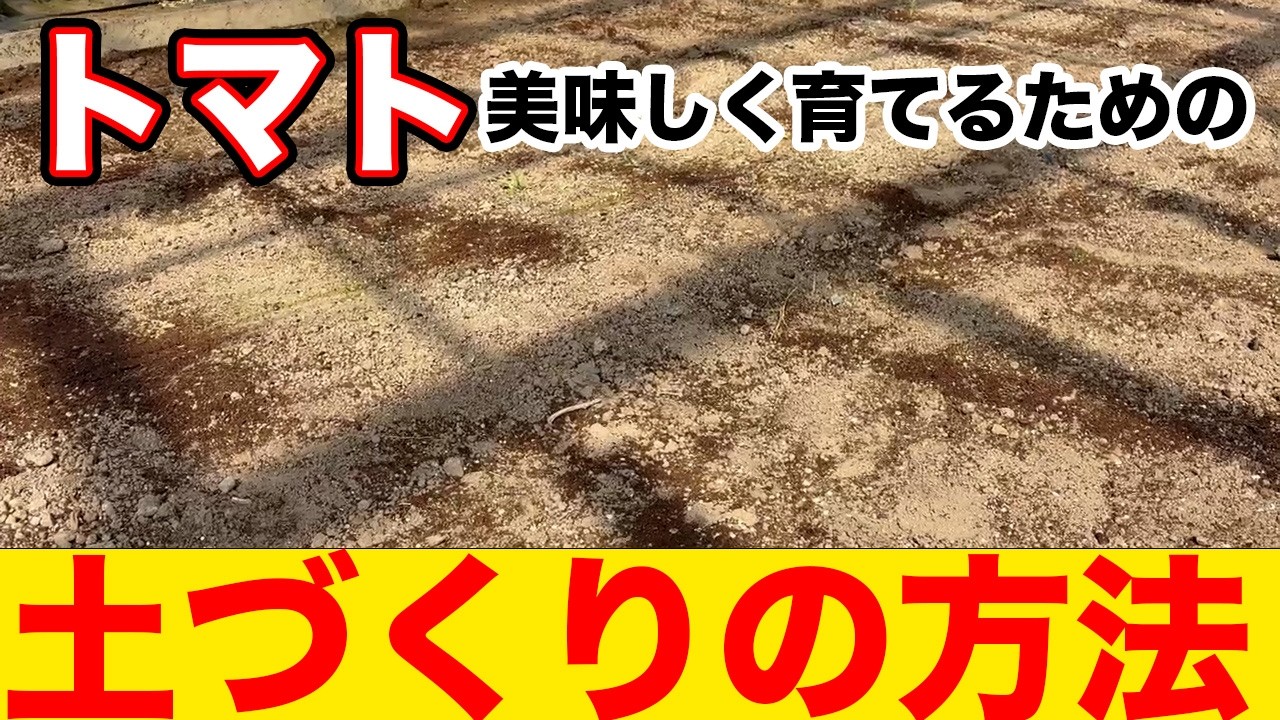 【トマト】美味しいトマトを作るための「土づくり」の方法