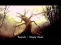 Bonobo | Sleepy Seven