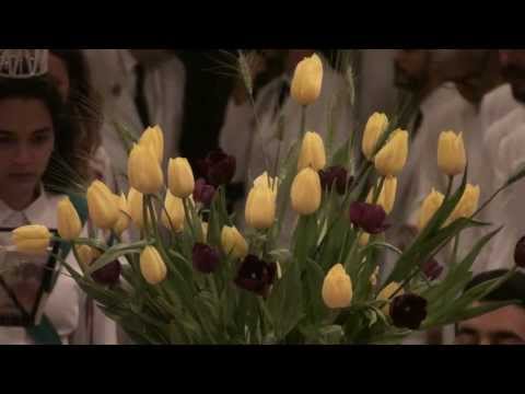 CENTENÁRIO - FLOR DE JAGUBE - MESTRE IRINEU 97