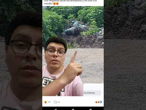 Que les hicieron a los dinosaurios 🦖 del parque San Martín ? Jujuy