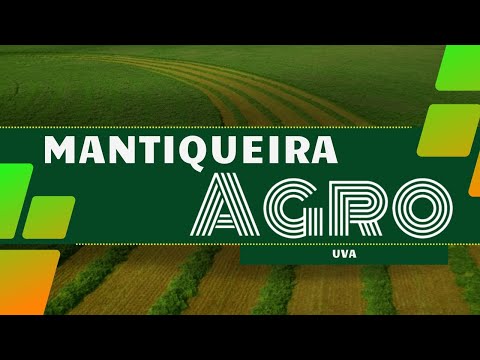 MANTIQUEIRA AGRO: UVA | 10/02