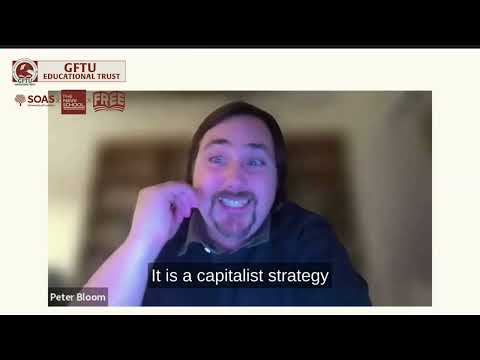 Austerity Unmasked: Who Pays When Governments Tighten Belts?