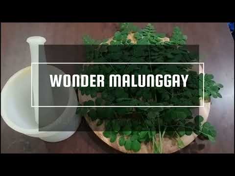 Wonder MALUNGGAY gamot sa Alopecia, natural at mabisang pampatubo ng buhok