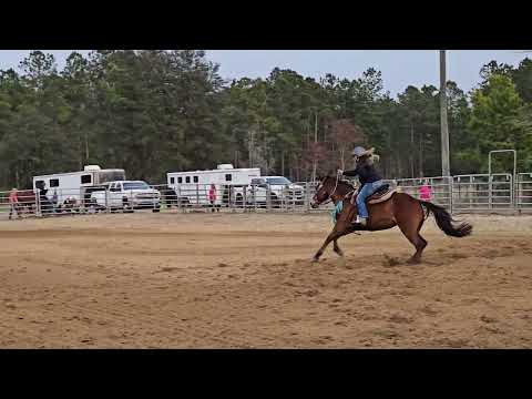 2-10-24 Horse Creek Exhibition