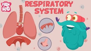 Respiratory System | The Dr. Binocs Show | Learn Videos For Kids