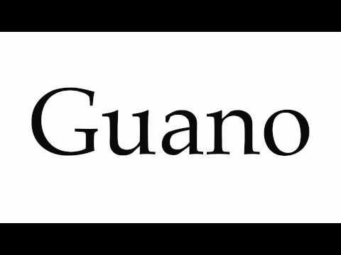 How to Pronounce Guano