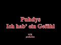 Puhdys - Ich hab’ ein Gefühl(Lyrics)