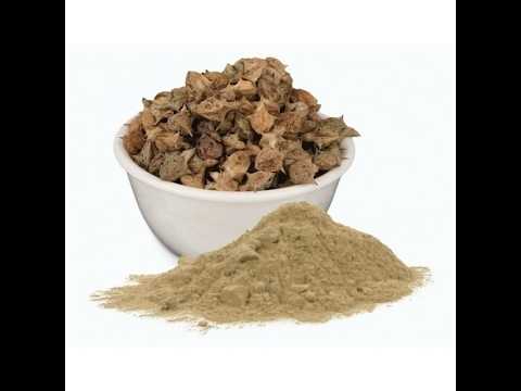 Edible Gokhru Powder