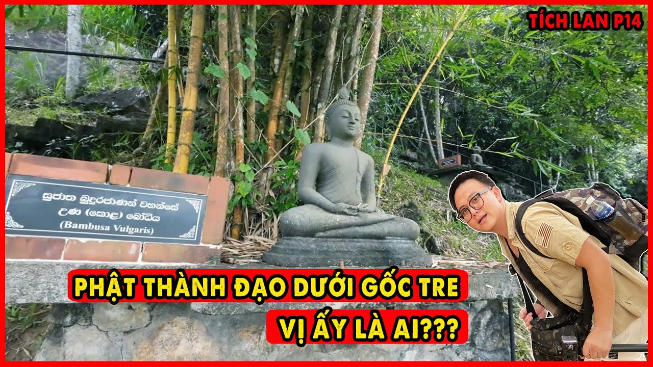 Độc Lạ trong quá khứ có một vị ngồi Cây Tre thành Phật??? | Phật Đảo Sri Lanka P14
