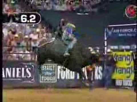 Mike White VS Wild Life