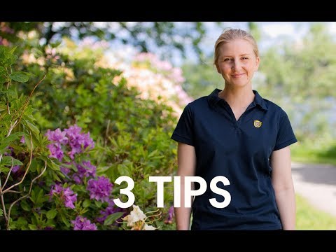 3 snabba tips för en härligare utemiljö