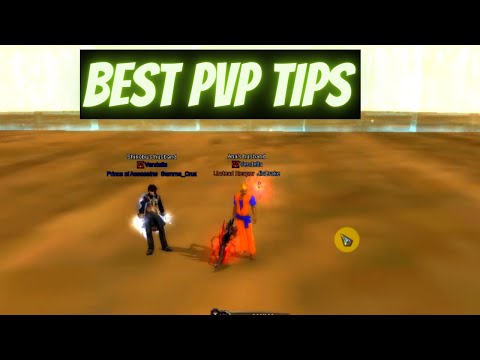 Awesome Interview with Top PW PVP Player | Learn How to PVP Better | Evolved Perfect World | PWI