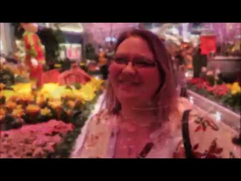 The Bellagio Hotel Gardens and Fountains at Night  - 2018 Vegas Vacation Day 3 Part 3 (4-10-18)