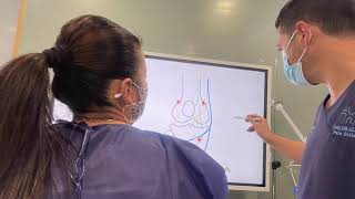 ULTRASOUND GENICULAR NERVES BIPOLAR RADIOFREQUENCY