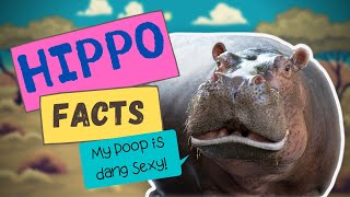 Hippo Facts || Fascinating things about hippos you probably don&#39;t know 🦛🦛 🦛