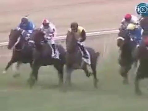 84. Magyar Derby Hungarian Derby