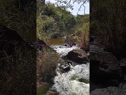 piracema mg # #viral #natureza