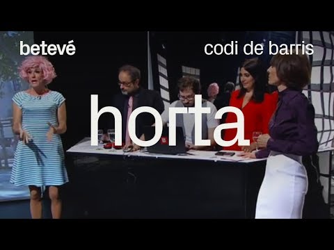 Codi de barris - Horta - betevé