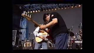 The Band Puistoblues 1996. Blind Willie McTell