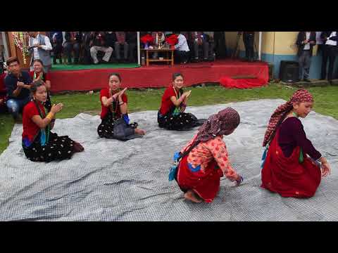 Song and Dance  Mero pyaro ghale gaun