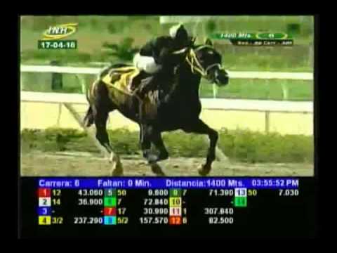 Resumen Domingo, 17 de Abril de 2016 - La Rinconada