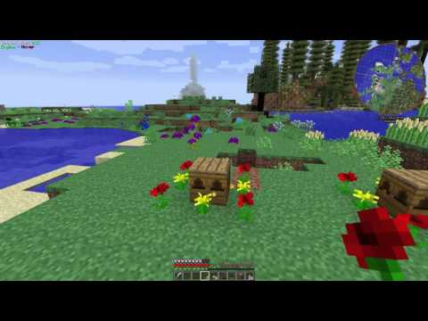 FTB Infinity: Evolved - EP11 - Bees!