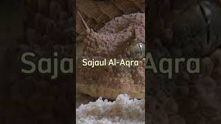 Download lagu Ular Sajaul Al-Aqra,Bagi Siapakah Dia, Di Alam Kubur,?#shorts mp3