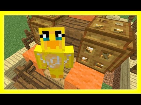 Feather Adventures : SWINGING CARRIAGES  - {245}