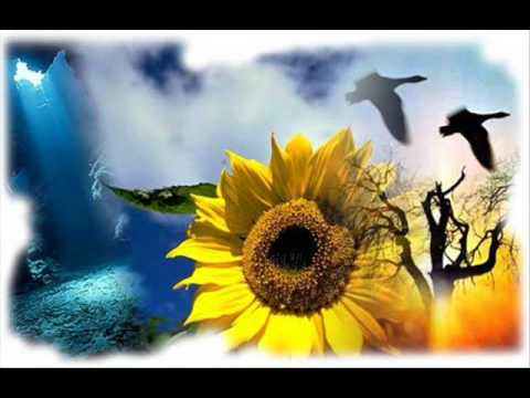 Muisto vain jää - Jouko ja Kosti