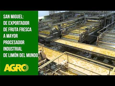 San Miguel: de exportador de fruta fresca a mayor procesador industrial de limón del mundo