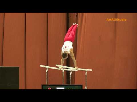 Stella Zakharova Cup 2017 Men's AA Parallel Bars - Кубок Стеллы Захаровой 2017 - Мужчины Брусья