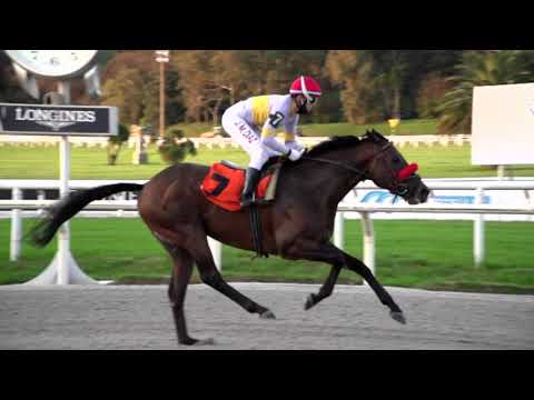 210912 c08 MAGNETICO