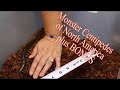 Monster Centipedes of North America plus BONUS